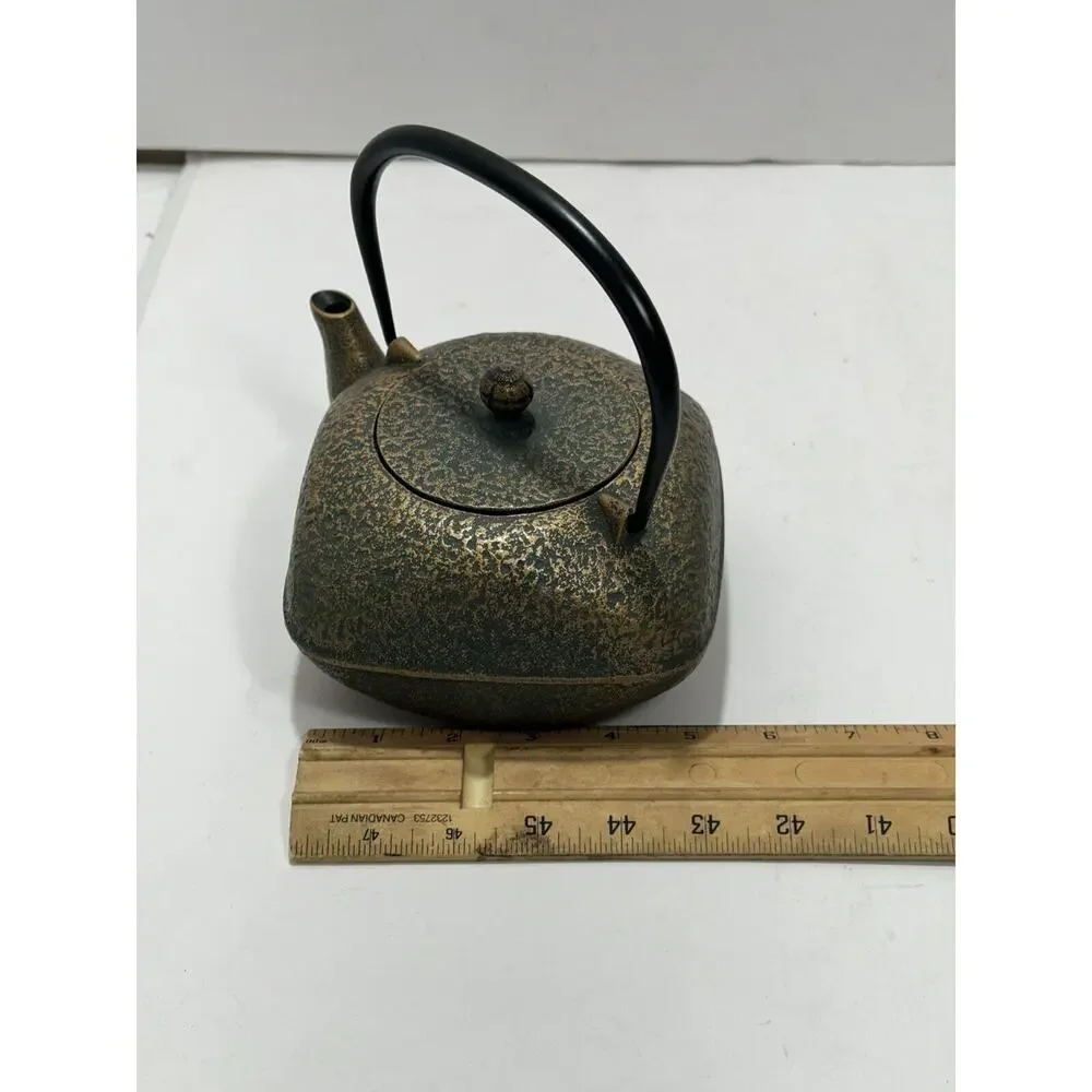 Japanese Rock Casting Iron Tea Pot‎ Kettle With Infuser Gorgeous Teapot Japan